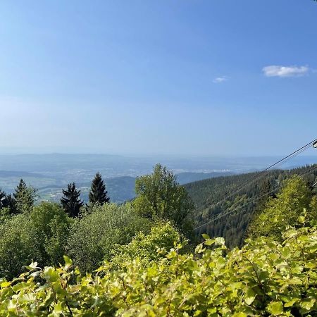 Neue Ferienwohnung Mit Whirlpool Und Sauna In Der Residenz Grafenmatt Inklusive Hochschwarzwaldcard فيلدبرج المظهر الخارجي الصورة