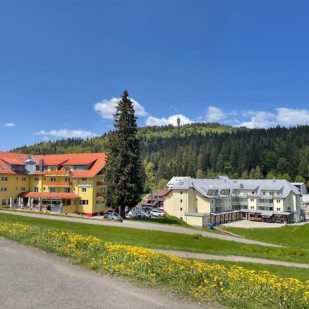 Neue Ferienwohnung Mit Whirlpool Und Sauna In Der Residenz Grafenmatt Inklusive Hochschwarzwaldcard فيلدبرج المظهر الخارجي الصورة