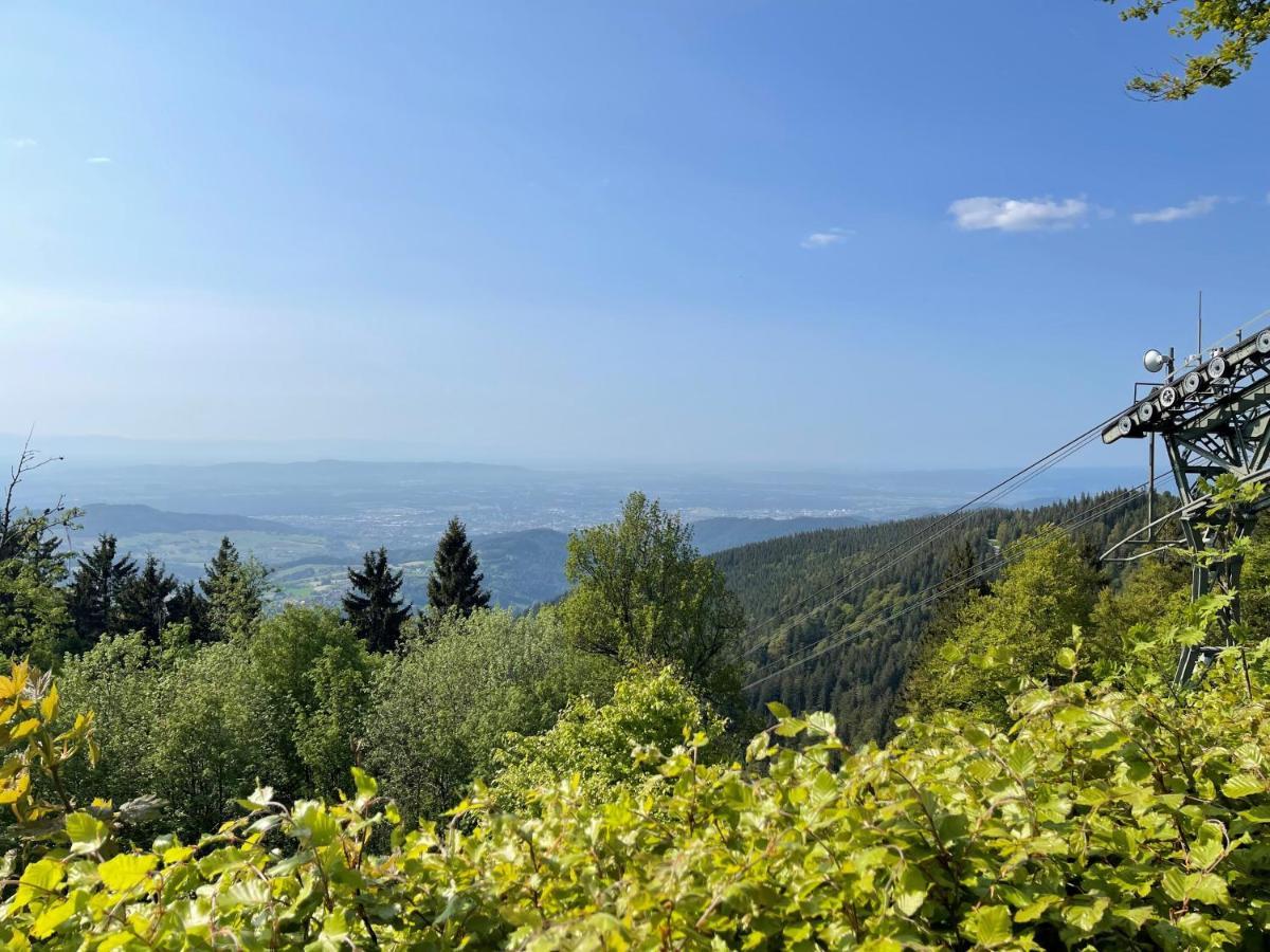 Neue Ferienwohnung Mit Whirlpool Und Sauna In Der Residenz Grafenmatt Inklusive Hochschwarzwaldcard فيلدبرج المظهر الخارجي الصورة